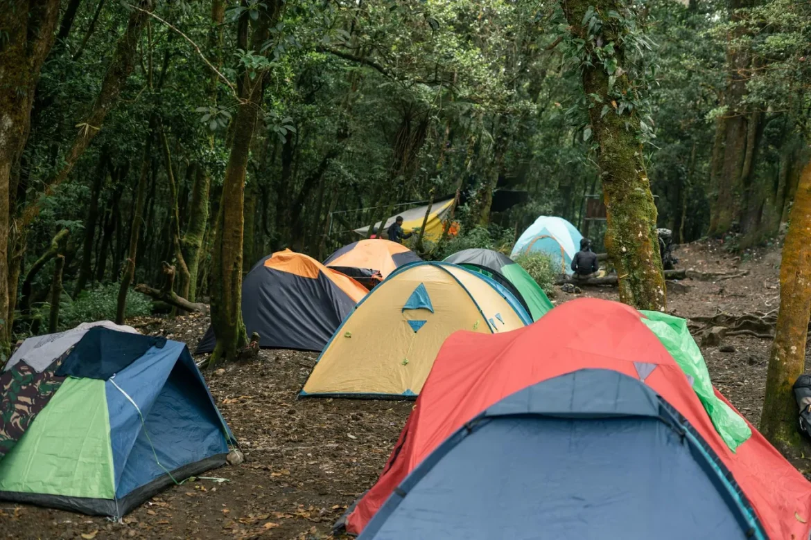 Camping Tent and Cot: Buyer’s Guide - camping tent and cot