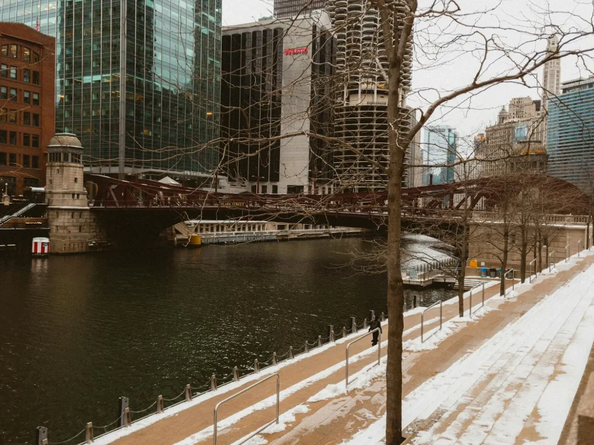 Chicago Bears Winter Coat Buying Guide - chicago bears winter coat