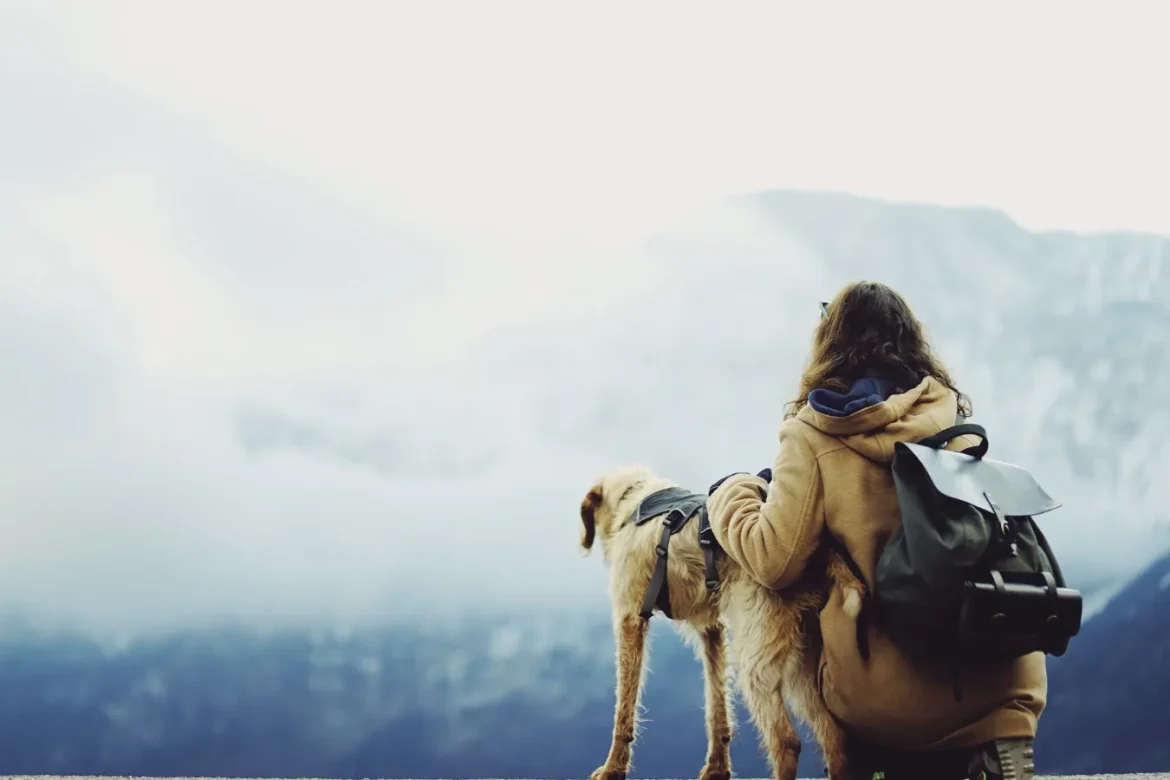 How to Choose a Dog Travel Backpack - dog travel backpack