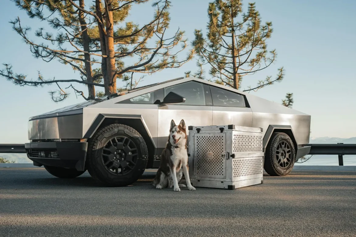 Best Pet Travel Accessories: Buyer Guide - pet travel accessories