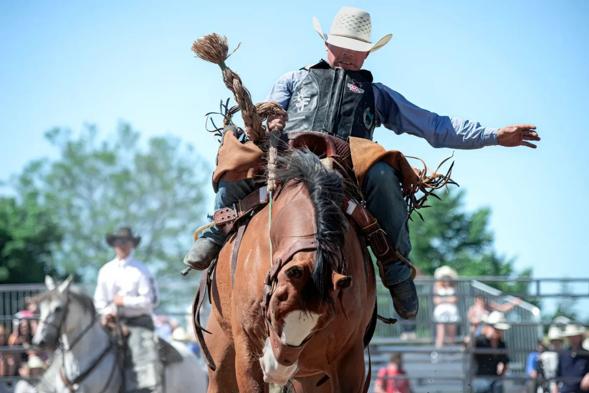 Rodeo Wallets for Men: Buying Guide - rodeo wallets for men